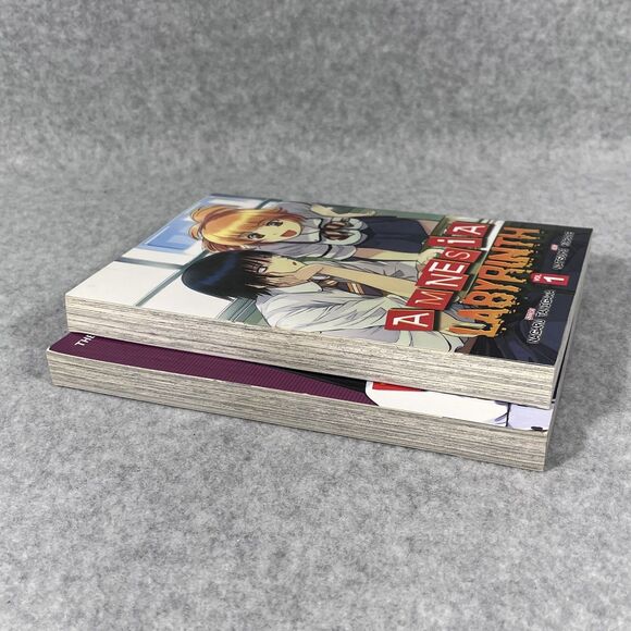 Amnesia Labyrinth Vol 1-2 Lament of the Lamb Vol 1+4 Manga Lot Mystery Horror Dr - Picture 3 of 8